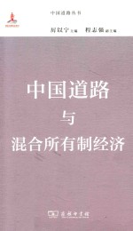 中国道路与混合所有制经济