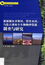 新疆额尔齐斯河 塔里木河 乌伦古湖水生生物物种资源调查与研究
