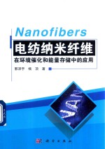 电纺纳米纤维在环境催化和能量存储中的应用