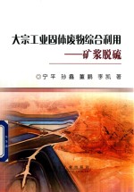 大宗工业固体废物综合利用 矿浆脱硫