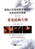 渤海山东海域海洋保护区生物多样性图集 第3册 常见底栖生物
