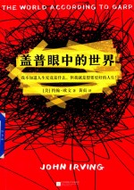 盖普眼中的世界