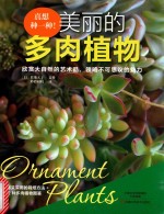 真想种一种!美丽的多肉植物