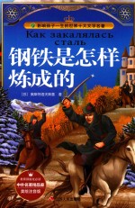 中外名著精品廊 钢铁是怎样炼成的 美绘注音版