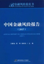 2017中国金融风险报告
