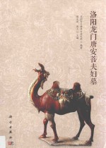 洛阳龙门唐安菩夫妇墓