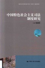 中国特色社会主义司法制度研究