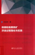 微细粒级黑钨矿浮选过程强化与实践