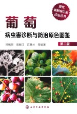 现代果树病虫害诊治丛书 葡萄病虫害诊断与防治原色图鉴 第2版