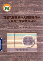 页岩气储层液体火药高能气体压裂增产关键技术研究