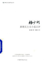 漳州当代名家作品丛书 杨少衡新现实主义小说点评