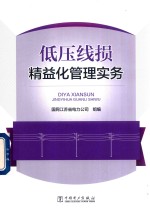 低压线损精益化管理实务