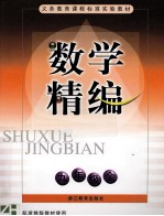 义务教育课程标准实验教材 数学精编 九年级全