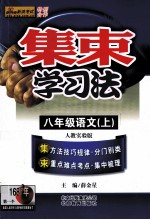 集束学习法 语文 八年级 上 人教实验版