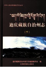 迪庆藏族自治州志 下