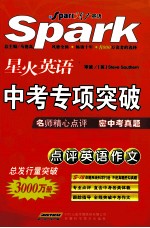 中考专项突破 阅卷老师点评英语作文