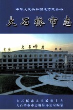 大石桥市志 上