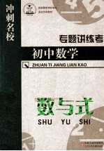 专题讲练考 初中数学 数与式