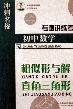 专题讲练考 初中数学 相似形与解直角三角形