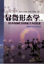 显微形态学