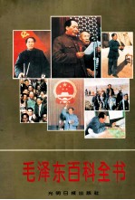毛泽东百科全书 下