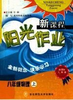 新课程阳光作业新课标人教版 物理八年级 上