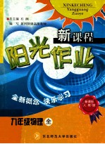 新课程阳光作业新课标人教版 物理九年级（全）