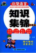 小学语文知识集锦 便携本