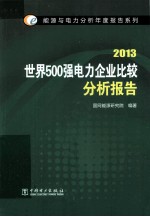 世界500强电力企业比较分析报告 2013