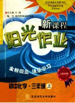 新课程阳光作业人教统编版 初中化学三年级 上