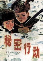 秘密行动