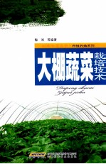 大棚蔬菜栽培技术