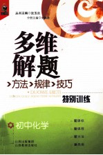 多维解题方法规律技巧特别训练 初中化学