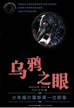 乌鸦之眼 少年福尔摩斯第一次探案