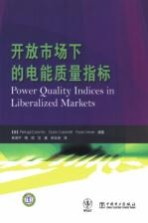 开放市场下的电能质量指标