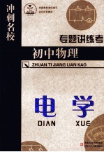 专题讲练考 初中物理 电学