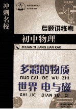 专题讲练考 初中物理 多彩的物质世界 电与磁