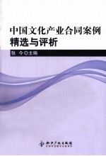 中国文化产业合同案例精选与评析