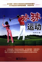 木球运动