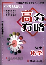 中考总复习·高分方略 初中化学