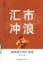汇市冲浪:如何进行外汇投资