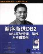 循序渐进DB2 DBA系统管理、运维与应用案例