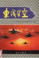 东线星空 南京军区空军新闻作品集