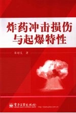 炸药冲击损伤与起爆特性