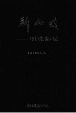 新加坡-明珠狮城 中国市长代表团赴新加坡学习考察心得