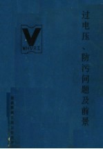 过电压、防污问题及前景 下