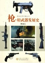 枪·轻武器的发展史