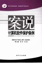 案说计算机软件保护条例