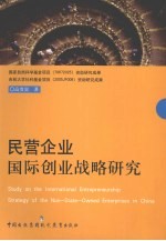 民营企业国际创业战略研究