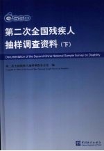 第二次全国残疾人抽样调查资料 下